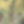 Colour : Woodland Cam